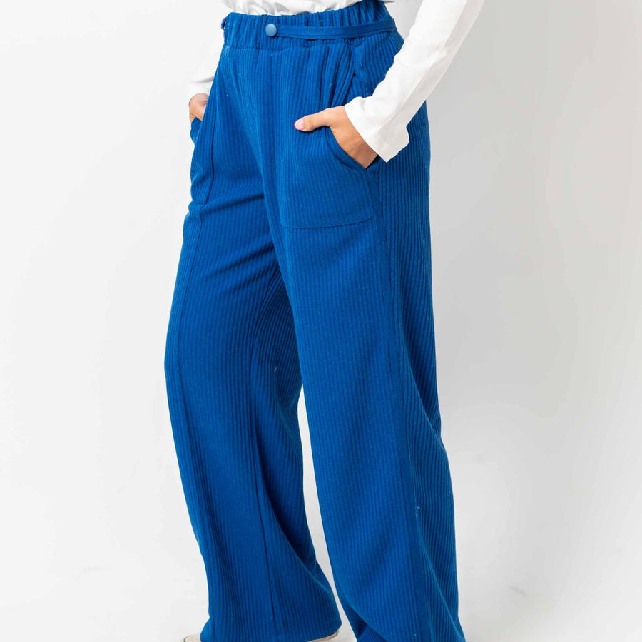 AB-Wool-Stripped-Royal-Blue-Pants-2